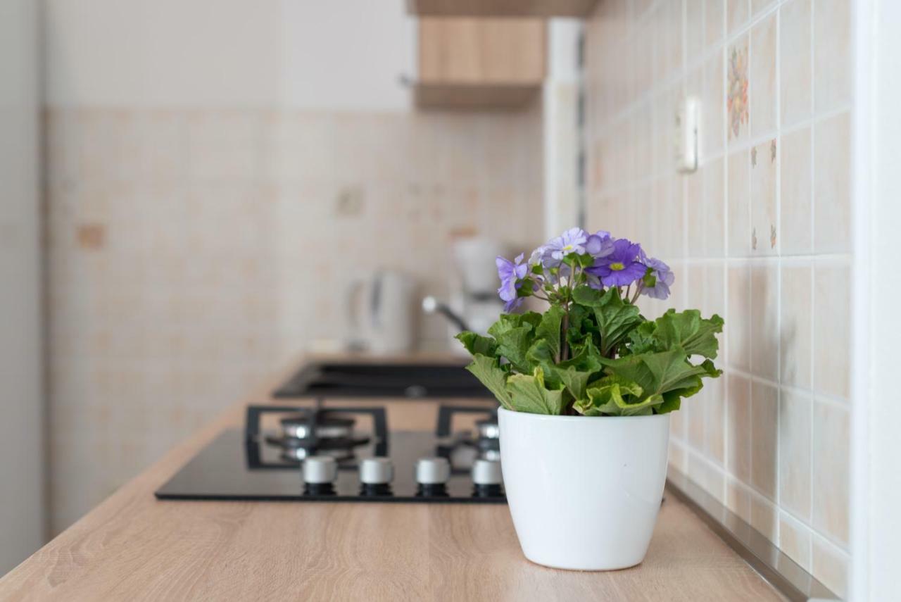 Luxury Apartment With Garden Jacuzzi And Wellness 特罗吉尔 外观 照片